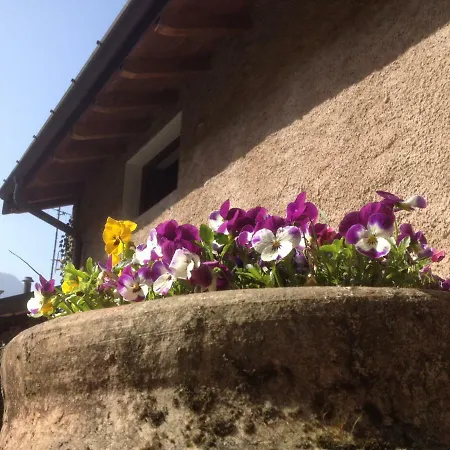 La Tana Del Ghiro B&B 포르토 발트라바글리아